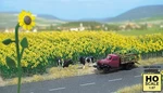 Busch 6003 Ho Sunflower Field. Fixed Price $11.32.