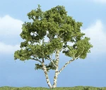 Woodland Scenics TR1601 Premium Birch Tree, 4". Fixed Price $13.99.