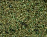 Noch,forest Grass - 2.5 Mm 20 G, NOC08350. Fixed Price $6.98.