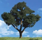 Woodland Scenics TR3547 N/ho Cool Shade Tree 3/4" - 1/4" Train Scenery. Fixed Price $10.49.