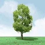 Jtt Scenery Pro-elite Tree, Birch 8". Fixed Price $30.27.