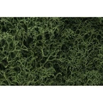 Woodland Scenics Lichen Bag Medium GREEN/82 Cu. In. WOOL163 Train Scenery Non. Fixed Price $19.98.