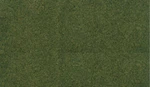 Woodland Scenics RG5173 Readygrass 25" X 33" Mat, Forest. Fixed Price $11.99.