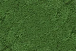 Scenic Express Flock & Turf 32 Oz Grass Green Fine 805B. Fixed Price $23.98.