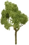 Deciduous 3 Pro 2PK Acc New. Fixed Price $26.68.