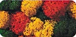 Noch Lichen Double-pack 2-3/4OZ 78G Autumn 8620. Fixed Price $16.98.