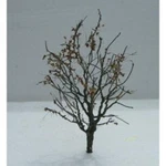 Dry Foliage, Trees 2-2.25" (3). Fixed Price $30.27.