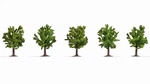 Noch 25610 Fruit Trees - Pieces, 8 Cm High. Fixed Price $20.60.