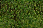 Bachmann Industries Scenescapes Tufted Grass Mat, Medium Green. Fixed Price $39.89.