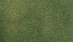 Woodland Scenics RG5142 Green Grass Project Sheet. Fixed Price $5.89.