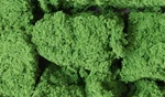 Woodland Scenics FC58 Foliage Clusters Medium Green. Fixed Price $11.06.