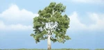 Woodland Scenics Premium Sycamore Tree Figure TR1609. Fixed Price $14.99.