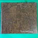 Peoria Moss Avenue 1983 The Badger Collection Signed Ltd # David Alan. Fixed Price $399.00.