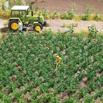 Busch 1266 Ho Scale Potato Plants -- Kit PKG(30). Fixed Price $21.99.
