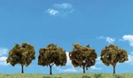 Woodland Scenics Orange Trees Classics Built To 3IN PKG(4) TR3592. Fixed Price $15.98.