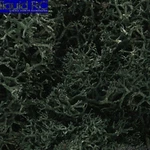 Woodland Scenics L164 Lichen Bag Dark GREEN/82 Cu. In.. Fixed Price $16.20.