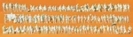 Preiser 79006 Scale Unpainted Walking People Set. Fixed Price $42.99.