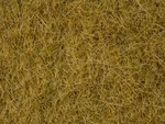 Noch 07101 Wild Grass - Beige, 6 Mm, 50. Fixed Price $11.90.