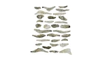 Woodland Scenics C1141 Ready Rocks - Creek Bed. Fixed Price $19.99.