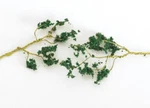Bachmann 32646 Wire Foliage Branches Dark Green Scenescapes. Fixed Price $12.69.