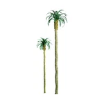 Palm 3.' Prp 4PK. Fixed Price $29.32.