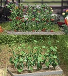 Busch 1214 Ho Tomato & Cucumber Plants Kit. Fixed Price $20.87.