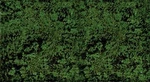 Heki Mini Forest 1553 All Scale Foliage 11 X 5-1/2" Conifer Green. Fixed Price $19.99.