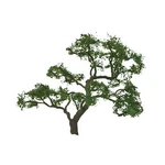 Jtt Scenery Products 96060 Ho / Scale 5" Professional Beech Tree. Fixed Price $14.59.