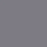 Tru-color Silver Metallic Acrylic Paints 1OZ 29.6ML TCP-708. Fixed Price $9.98.