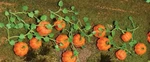 Jtt Ho Pumpkins 1-3/8IN 3.5CM Long PKG(6) 05 95531. Fixed Price $14.98.