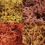Woodland Scenics L165 Autumn Mix Lichen 48 Oz. Bag. Fixed Price $15.99.
