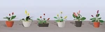 Jtt Assorted Potted Flower Plants Set #3 PKG(6) 05-95570. Fixed Price $14.98.