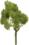 Jtt 94300 Ho/n Scale 3'' Deciduous 2 Pack. Fixed Price $16.75.