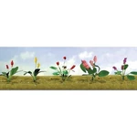 Jtt Scenery Products 95561 Ho 1/2" Assorted Flower Plants Set #2 (pack Of 12). Fixed Price $9.73.